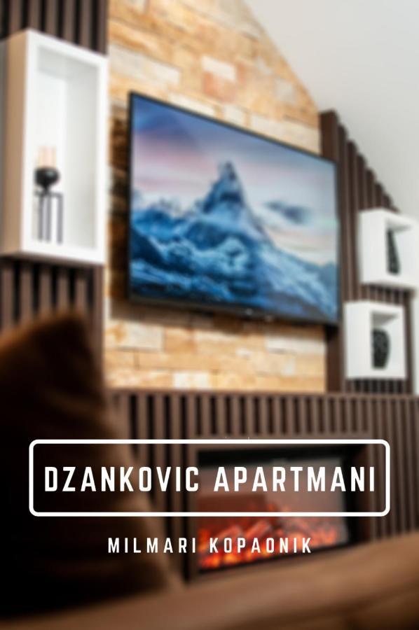 Apartmani Dzankovic Κοπαόνικ Εξωτερικό φωτογραφία